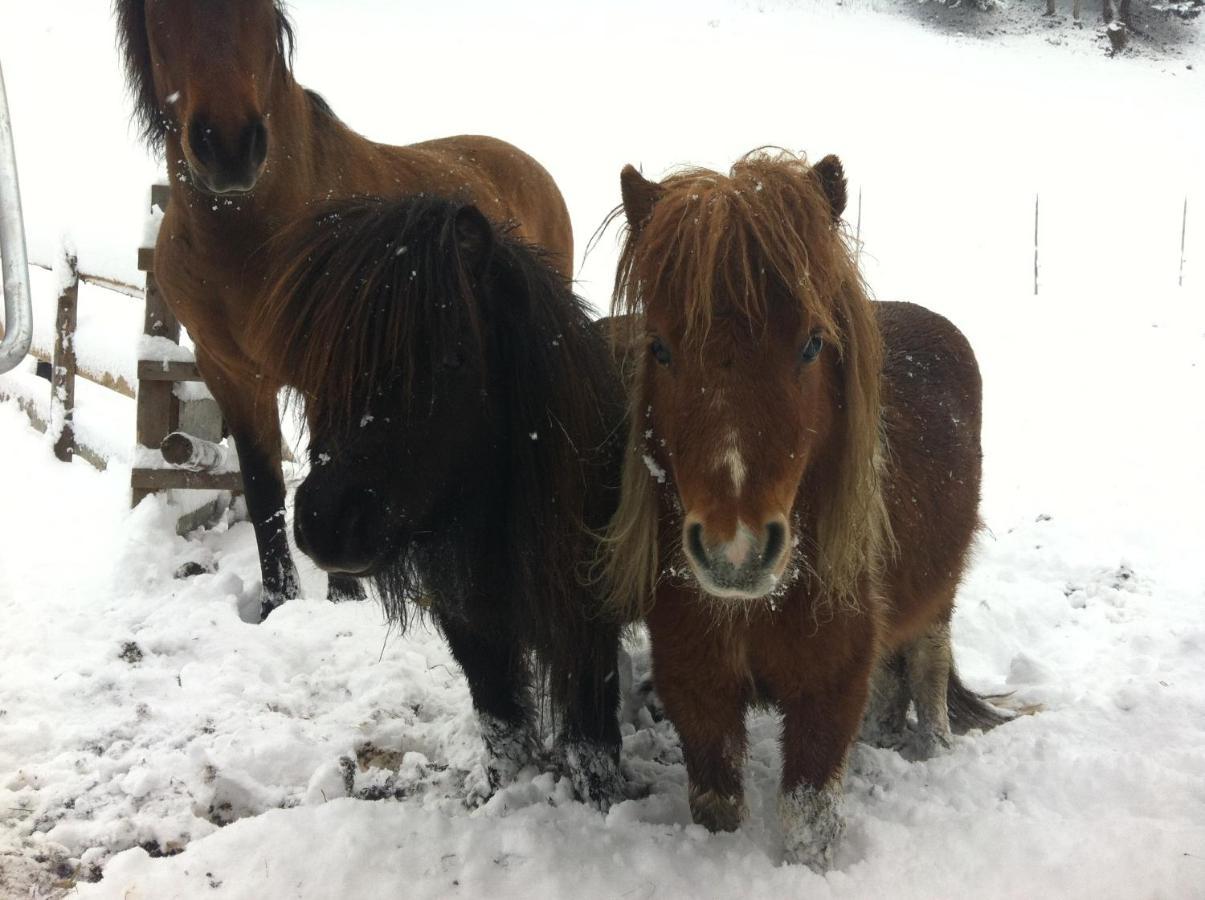 Willa Ahlhof Schladming Zewnętrze zdjęcie