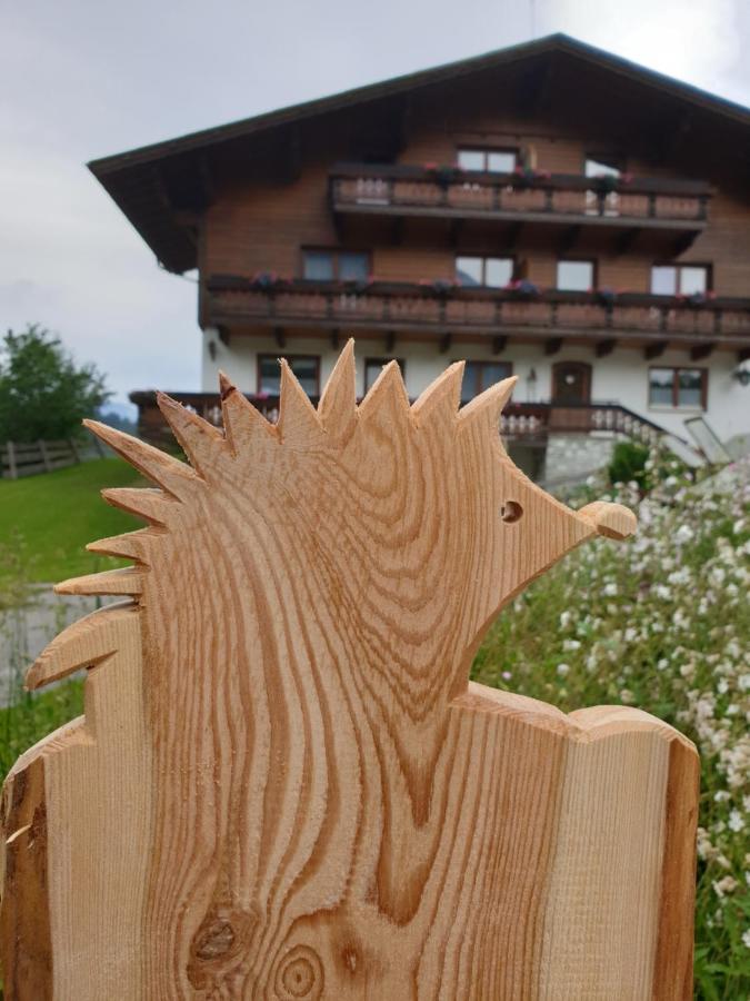 Willa Ahlhof Schladming Zewnętrze zdjęcie